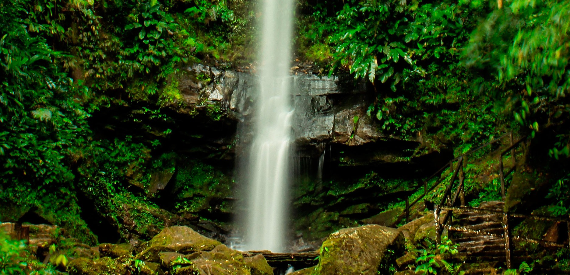 Tour a Catarata Ahuashiyacu
